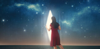 Le choix entre les deux mondes – Satsang