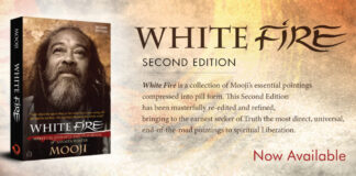 White Fire : Spiritual Insights and Teachings of Advaita Master Mooji
