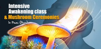 Intensive Awakening Class with Ananda & Shamanic Ceremonies
