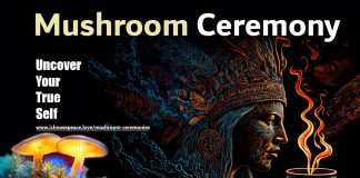 Mushroom ceremony in Pisac (Peru)